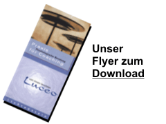 beratung-coaching-l�sungsorientiert-reutlingen