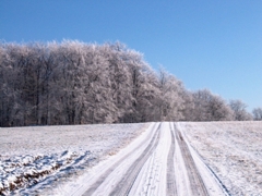 beratung-coaching-l�sungsorientiert-reutlingen